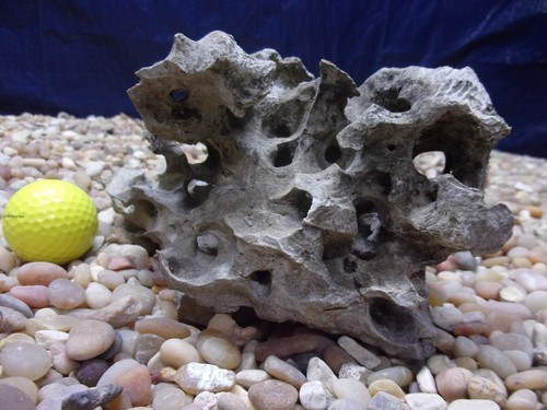 Texas holey rock - texas/tn,