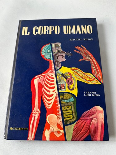 Corpo umano mitchell - corpo,