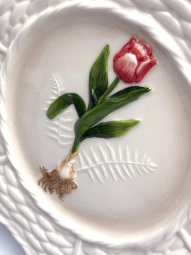 Bulbo fiore tulipano maiolica
