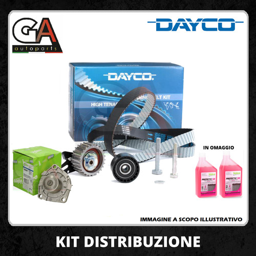 Kit cinghia distribuzione alfa - cinghia,