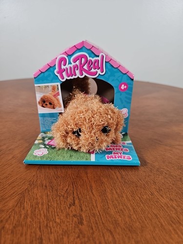 Hasbro pelliccia real minis - pelliccia, my