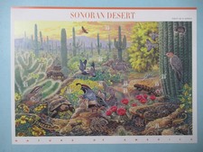 STATI UNITI USA 1999 ANNATA