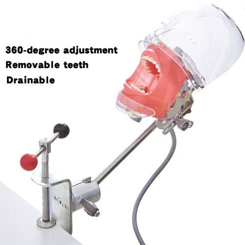 Simulatore dentale nissin - dentale,
