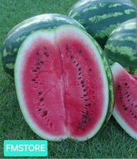 50 SEMI DI ANGURIA CRIMSON