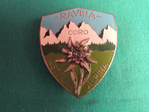 L68 spilla ravina coro stella - l68,