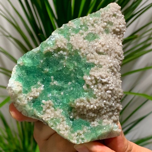 16lb rare transparent green - rare,