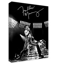 Tela Queen Freddie Mercury GRANDE WALL ART stampa live musica bianco e nero