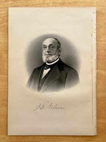 Stampa antica 1889 incisione