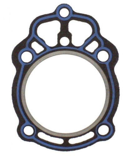 Guarnizione testa moto - testa,