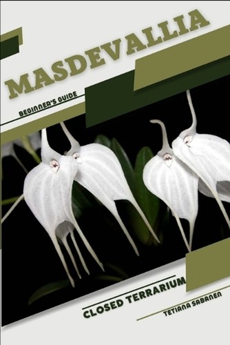 Masdevallia closed terrarium - closed,