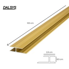 100cm Profilo di transizione