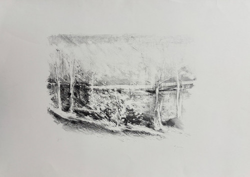 Giuseppe ajmone - giuseppe,