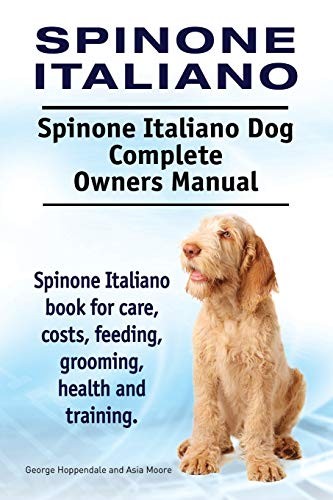 Spinone italiano - italiano.,