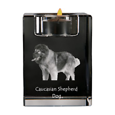 Cane Pastore Caucasico