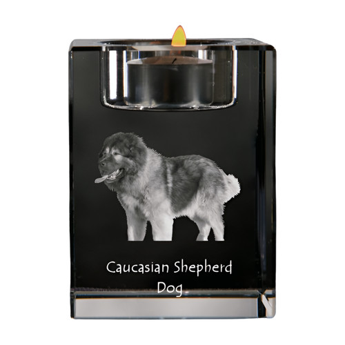 Cane pastore caucasico - cane,