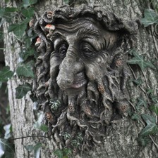 Targa foglia faccia albero