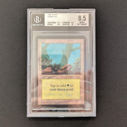 Mtg foresta bgs - \\>>,