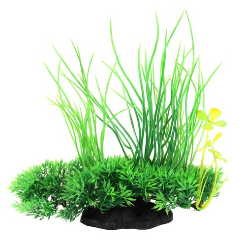 Decorazione acquario piante - decorazione,