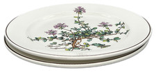 Villeroy & Boch Botanica piatto insalata Thymus Pulegioides con radici set di 2