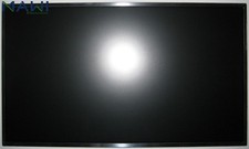 Schermo Display LG 17.3