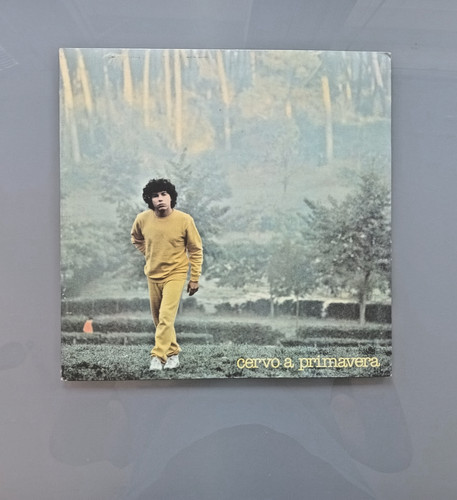 Disco vinile giri - disco, 12''-