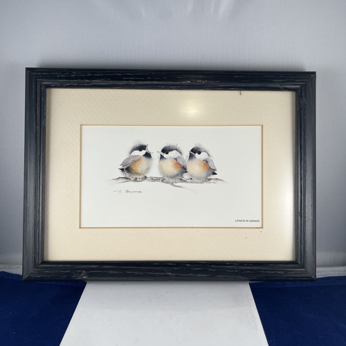 Stampa artistica con - , cornice