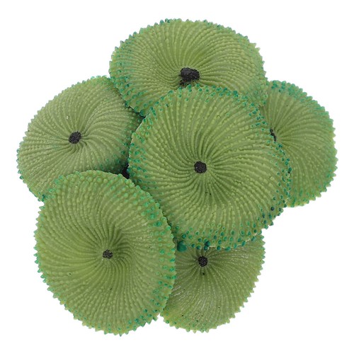Corallo artificiale - ,