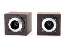 FOSTEX GS17H Super Tweeter