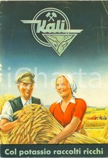 1940 circa Azienda KALI Col potassio raccolti ricchi ILLUSTRATO