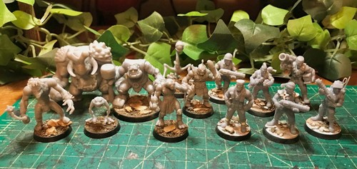 Elite commandos gorgonzola - e,