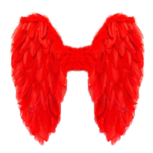 Ali piumate rosse - x, 50