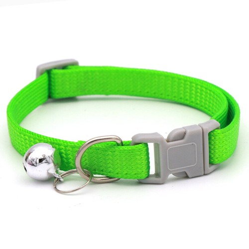Collare cane nuovo collo