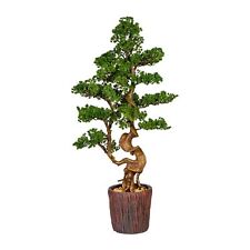 Bonsai Larice, Ca 125cm