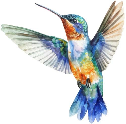 Adesivo colorato colibrì arte