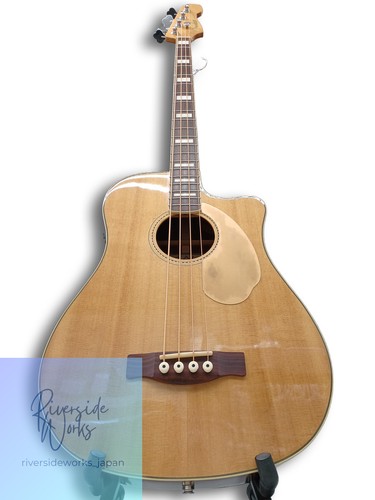 Fender electro acoustic - fender, bass