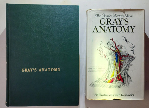 Gray anatomy twenty - gray's, twenty-ninth