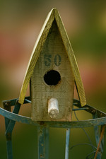 Casetta per uccellini in legno rustica vintage n. 50 decorazioni da giardino fatte a mano Italia anni 60