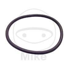 Guarnizione del collettore