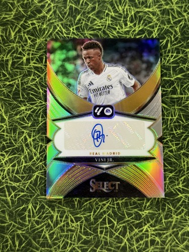 Vini vinicius auto panini - jr,