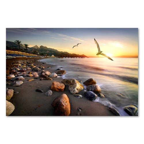 Postereck 2640 poster - postereck,