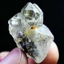 Esemplare punta bacchetta