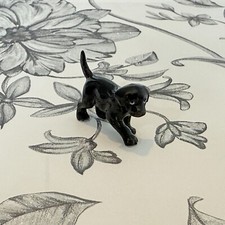 Black Labrador Puppy Dog