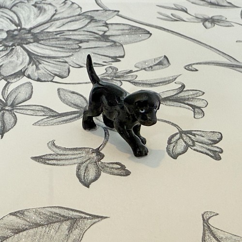 Black labrador puppy dog - labrador,