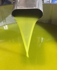 olio extravergine di oliva 10 Litri Campagna Olearia 2024/2025