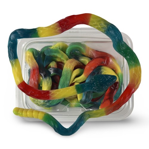 Serpente sonagli gigante in - a,