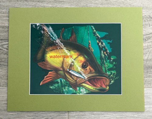 Stampa pesca 8x10 opaca a - stampa,