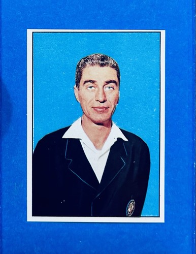 Figurina calciatori panini - figurina,