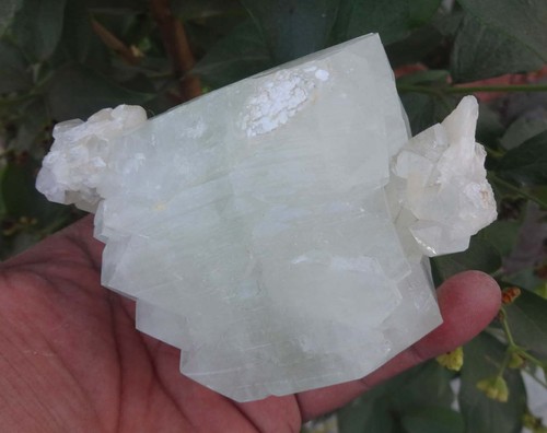 Apofillite stilbite - apofillite,