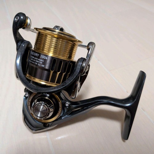 Daiwa theory 2004 - theory,