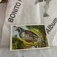 figurina N 157 Album